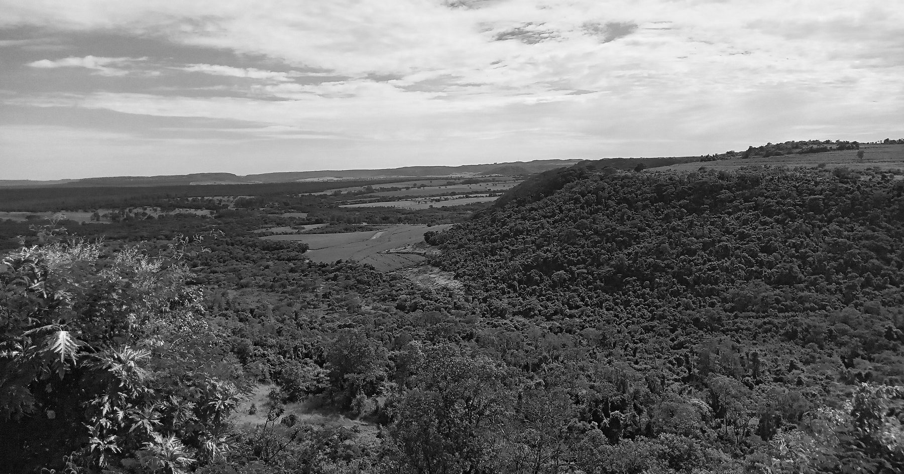 From a wooded ridge, a view over a plain of fields and patches of forest to a low escarpment on the horizon, a wooded hillside in the right foreground under a clouded sky.